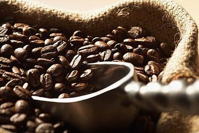 《怪物猎人：世界》销量已超过系列总销量四分之一