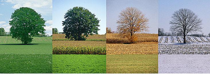 第一艘驶向《海盗岛：海盗传说》的船已经扬帆起航